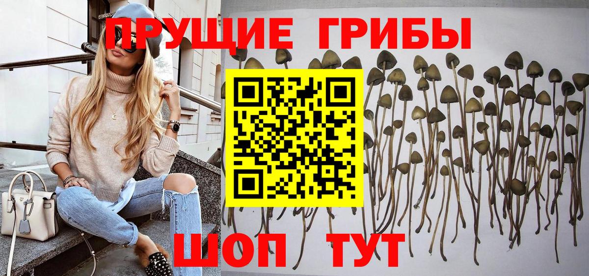 Галлюциногенные грибы мицелий  Вход с VPN  Вольск 