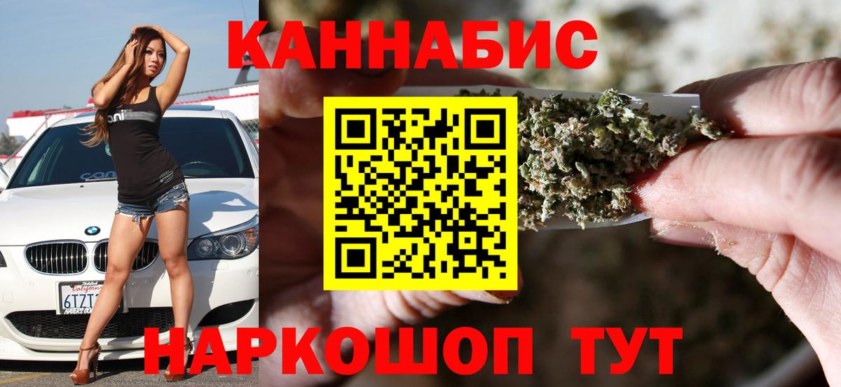 Конопля сатива Вольск